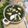 Swati Bharadwaj's cooksnap of when they made Saag Paneer.