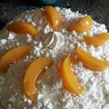 El cooksnap de Adriana Parodi cuando hizo Chaja de durazno súper fácil.