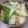 賴小孟 的 拌麵 cooksnap