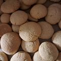Cooksnap από Gris2015 στη συνταγή Κουλουράκια πορτοκαλιού νηστίσιμα με λάδι