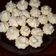 Cooksnap dari rohayati untuk resep Maringue Schumpies
