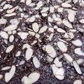 Cooksnap dari Nur Lailatul Hidayah untuk resep Brownies panggang