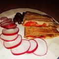 Cooksnap-ul lui Ralucagateste.com atunci când a preparat Sandvish cald în lipie (vegan).