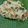 Sasipriya ragounadin's cooksnap of when they made சேமியா கிச்சடி(SEMIYA KICHDI RECIPE IN TAMIL).