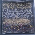 Cooksnap dari Desi Tursilowati untuk resep Brownies Labu Kuning