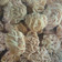 Cooksnap dari Niah Hafis untuk resep Unthuk Cacing / Yuyu
