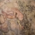 El cooksnap de Grass cuando hizo Verdolagas en salsa verde con chicharrón.