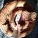 El cooksnap de cecilia cuando hizo Torta integral de coco 🥥.