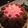 swimmerjs's cooksnap of when they made Best Bundt Cake.