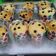 Cooksnap dari Ishma Alhamid untuk resep Vanilla Choco Chips Muffin