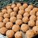 Mahika sharma का कुकस्नैप जब उन्होंने तिल गुड़ लड्डू (Til gud laddu recipe in hindi) बनाया था।