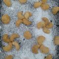 Bhavini Kotak का कुकस्नैप जब उन्होंने अजवाइन के नमकीन खस्ता काजू (Ajwain Ke Namkeen khasta kaju recipe in Hindi) बनाया था।