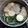 Cooksnap dari Akira's mom untuk resep Steamboat sederhana sedap dan gurih