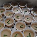 Cooksnap dari drg.Siska untuk resep 404# Srikaya (telur gula merah)