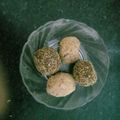 Bina Talati's cooksnap of when they made મલ્ટીગ્રેઇન કાટલું (Multi Grain Katalu recipe in Gujarati).
