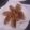 Sundus Toor's cooksnap of when they made Finger Sandwiches.