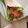 Andika Cooksnap-ja, amikor elkészítette a(z) Tortilla csirkemellel Lilla konyhájából 🌯 receptet.