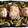 El cooksnap de Mónica Guitart cuando hizo Bacalao para dieta al horno.