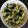 El cooksnap de Ana cuando hizo Pasta con pesto de espinacas.
