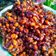 Cooksnap dari Putu Sujaniari untuk resep Kacang Merah Pedas Manis