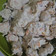 Cooksnap dari Yuslian Nafiah untuk resep Sup bakso serabut (bakso lohoa)