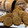 El cooksnap de begoigualada cuando hizo Galletas integrales con avena y miel🍯.