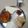 Nisha's cooksnap of when they made ફુલકા રોટી (Fulka Roti Recipe In Gujarati).