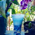 Cooksnap dari Lanjarsih/Mama Fifian ( MasakanRumahan) untuk resep Es Blue Saphire