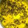 Vandna bosamiya's cooksnap of when they made વધારેલી ખીચડી (Vaghareli Khichdi Recipe In Gujarati).
