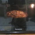 Cooksnap dari harajuku untuk resep Pizza Homemade