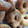 El cooksnap de Paula Gi cuando hizo Rosquitas 🤤.