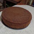 El cooksnap de Giuliana cuando hizo Bizcochuelo de chocolate.