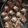 nikoletta8708's cooksnap of when they made Chocolate covered cheesecake truffles.