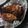 Cooksnap Farhana Azwa semasa beliau membuat Dada Ayam Harimau Menangis 🐅.