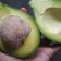 Cooksnap dari Haikal_991 untuk resep Tips peram buah alpukat