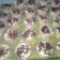 Cooksnap dari Fieth Ree untuk resep Puding Kentang #KamisManis