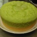 Cooksnap dari Cahaya Kasih untuk resep Bolu kukus pandan coklat