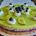 Beata Rozsa Cooksnap-ja, amikor elkészítette a(z) Áfonyás-mangós joghurttorta chiapudinggal receptet.