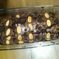 Cooksnap dari Adinda Putri untuk resep Brownies Panggang Crackly