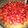 El cooksnap de Federico Bisio Ceruti cuando hizo Tarta de frutillas y pastelera.