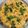Aanal Avashiya Chhaya's cooksnap of when they made ઈન્સ્ટન્ટ ખમણ ઢોકળા(Instant Khaman Dhokla Recipe In Gujarati).