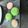 El cooksnap de Jonny weED cuando hizo Macarrons.
