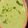 Frankayarms's cooksnap of when they made Chilled spicy cucumber avocado soup.