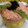 El cooksnap de Carla Freitas cuando hizo Tartar de salmón, mango y quinoa.