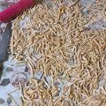 El cooksnap de Aracelii Lima cuando hizo Tallarines caseros (masa de pasta).