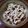 Cooksnap dari Cooking DJ untuk resep Cheesy Mushy