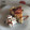 El cooksnap de Sonia Sánchez Abogada cuando hizo Tarta de queso.