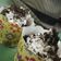 Cooksnap dari uul untuk resep Cake Oreo topping Cheese