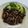 Cooksnap dari Shirley Ns untuk resep Garlic Butter Shoyu Mushroom