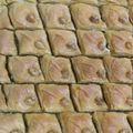 صورة من OM ISLEM، شاركها بعد تجربة وصفة بقلاوه